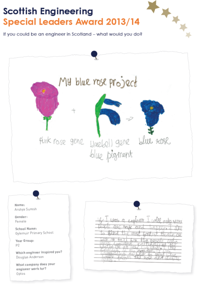 Primary Engineer image