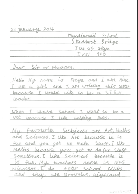 Primary Engineer image